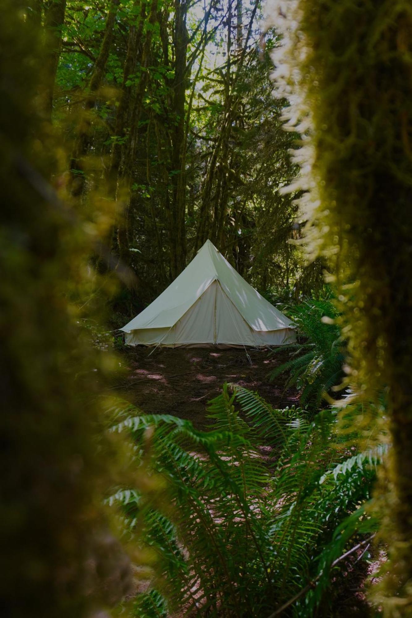 Starlight Olympic Glamping * Port Angeles